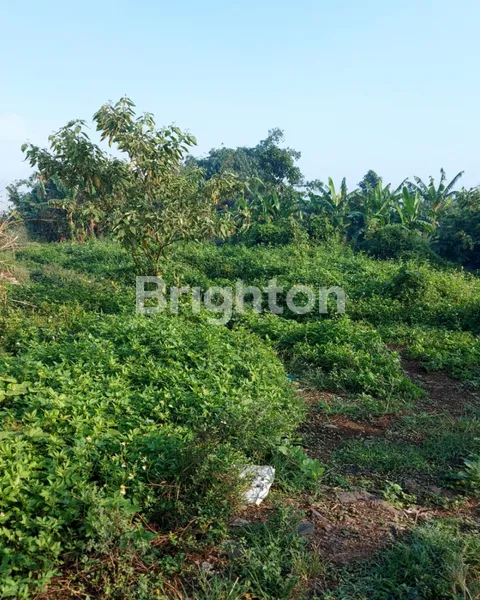 image GOLDEN LAND 7 HA DI TANGERANG, CIPTAKAN CLUSTER PREMIUM ATAU KAWASAN INDUSTRI (2)