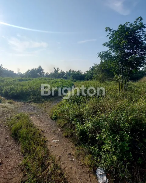 image GOLDEN LAND 7 HA DI TANGERANG, CIPTAKAN CLUSTER PREMIUM ATAU KAWASAN INDUSTRI (4)