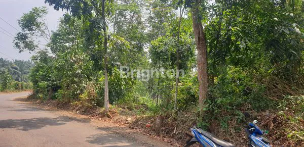 image TANAH LUAS 3.4 HA STRATEGIS DEPAN KELURAHAN CIGUDEG BOGOR (4)