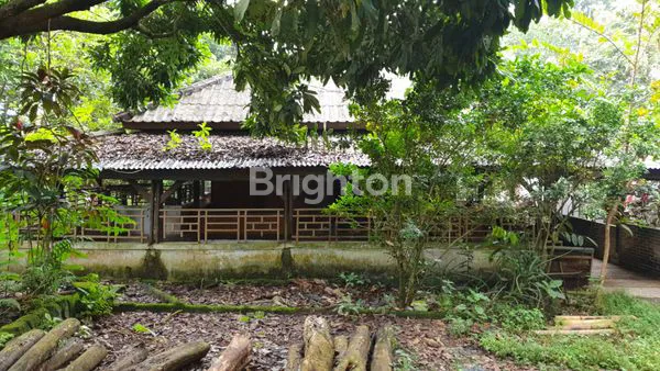 image TANAH LUAS 3.4 HA STRATEGIS DEPAN KELURAHAN CIGUDEG BOGOR (2)