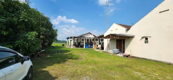 image GUDANG USAHA  (2)