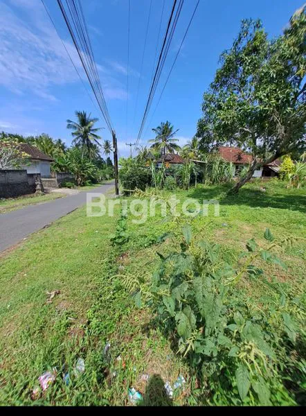 image *TANAH SUBUR 30 ARE, SHM, SIAP BANGUN, JEMBRANA BALI* . <br />
<br />
 (3)