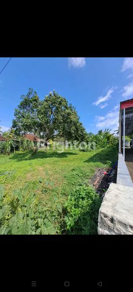 image *TANAH SUBUR 30 ARE, SHM, SIAP BANGUN, JEMBRANA BALI* . <br />
<br />
 (4)