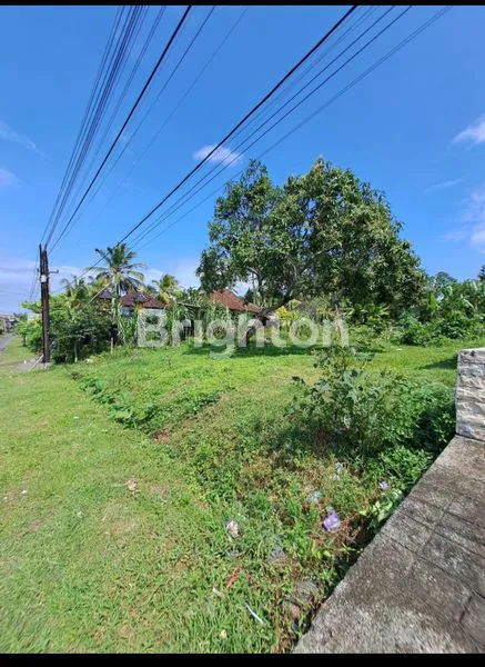 image *TANAH SUBUR 30 ARE, SHM, SIAP BANGUN, JEMBRANA BALI* . <br />
<br />
 (2)