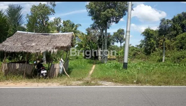 image TANAH KOMERSIAL 3700M² PINGGIR JALAN RAYA RENGAT-TEMBILAHAN (3)