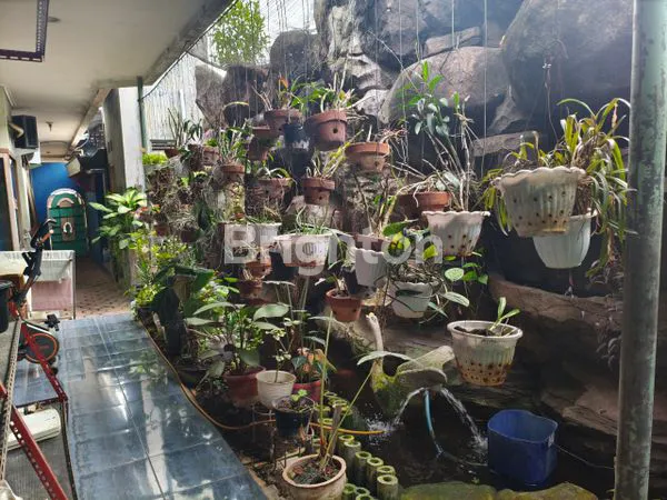 image RUMAH + USAHA CUCI MOBIL DI NGASEM KEDIRI (8)