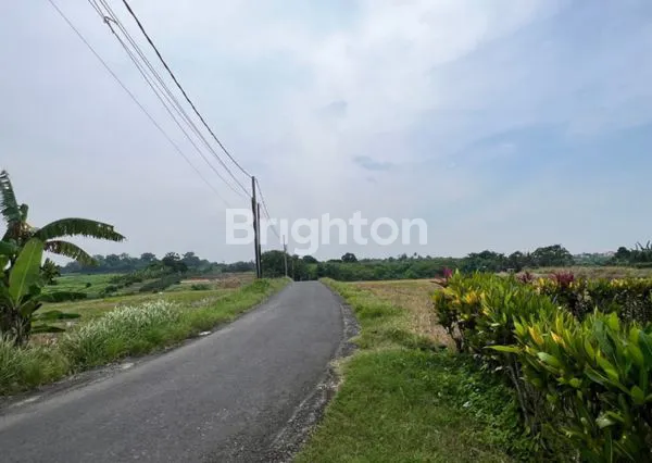 image TANAH PREMIUM 6000M² VIEW SAWAH DEKAT HOTEL ALILA TABANAN (1)