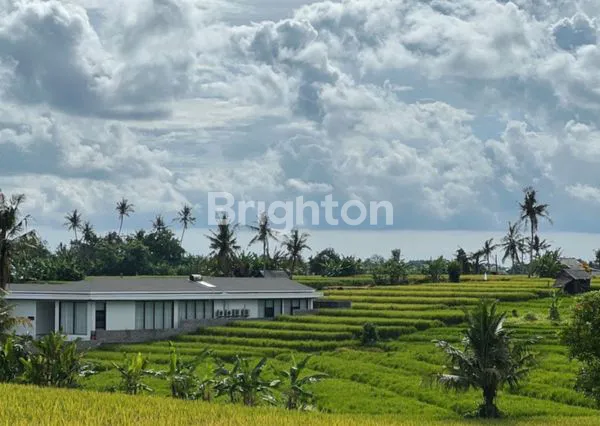 image TANAH PREMIUM 6000M² VIEW SAWAH DEKAT HOTEL ALILA TABANAN (4)