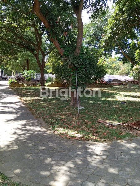 image TANAH PREMIUM LOKASI SANUR BALI (1)