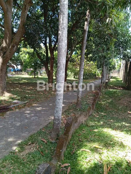 image TANAH PREMIUM LOKASI SANUR BALI (3)