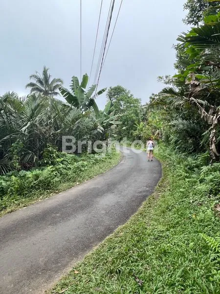 image LAHAN PREMIUM 10 ARE VIEW SAWAH UNESCO JATILUWIH TABANAN (3)