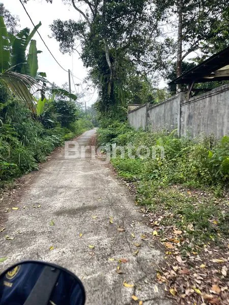 image LAHAN PREMIUM 10 ARE VIEW SAWAH UNESCO JATILUWIH TABANAN (7)