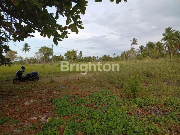 image TANAH PREMIUM 2.2 HA VIEW LAUT DI KAWASAN WISATA BINTAN (4)