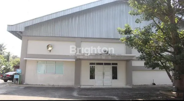 PABRIK AKTIF UTK MIE INSTANT-MAKANAN SIAP PRODUKSI DI YOGYAKARTA