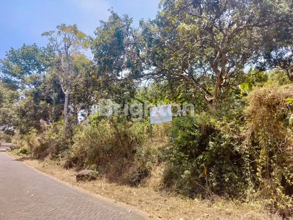 image TANAH KEBUN NGEMBAL PASURUAN (3)