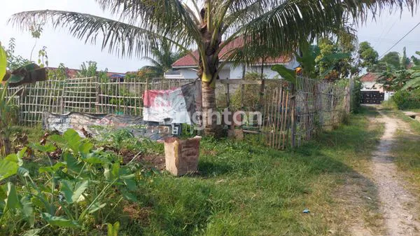 TANAH KAVLING DATAR SIAP BANGUN DI JALAN RATU DIBALAU, BANDAR LAMPUNG