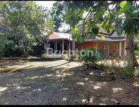 Screenshot 20250829 065551 WhatsAppBusiness