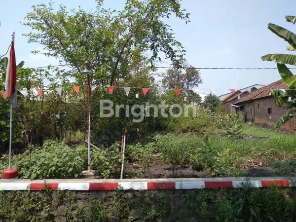 image TANAH DI JL RAYA SIDOREJO (1)