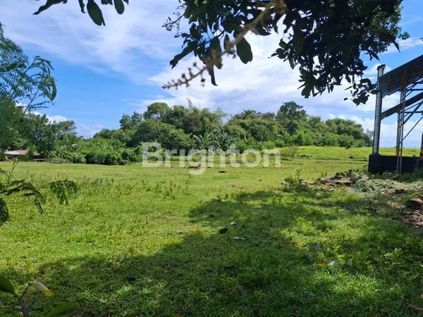 TANAH 65JT/ARE JEMBRANA, PINGGIR JALAN UTAMA