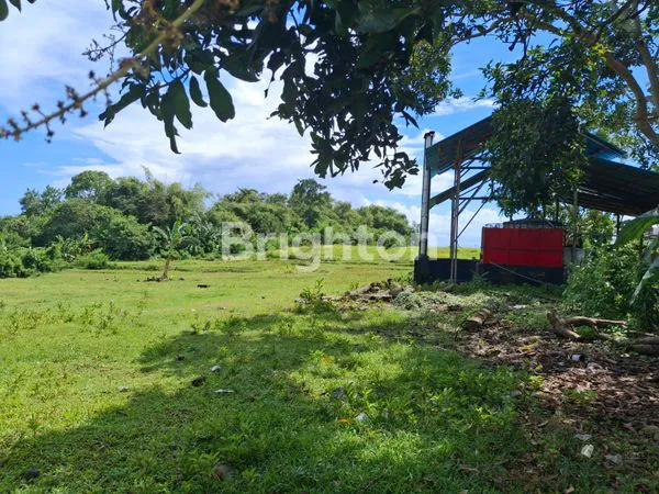 image TANAH 65JT/ARE JEMBRANA, PINGGIR JALAN UTAMA (6)