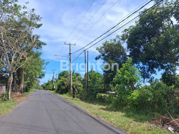 image TANAH 65JT/ARE JEMBRANA, PINGGIR JALAN UTAMA (2)