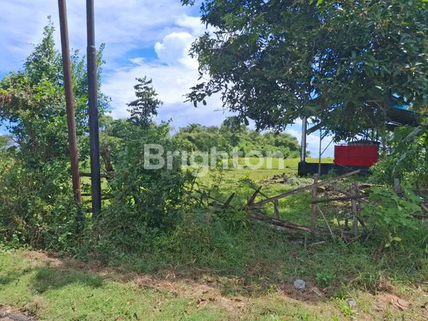 image TANAH 65JT/ARE JEMBRANA, PINGGIR JALAN UTAMA (5)