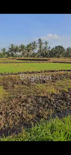 image LAND FOR LEASE AT MARGA (4)