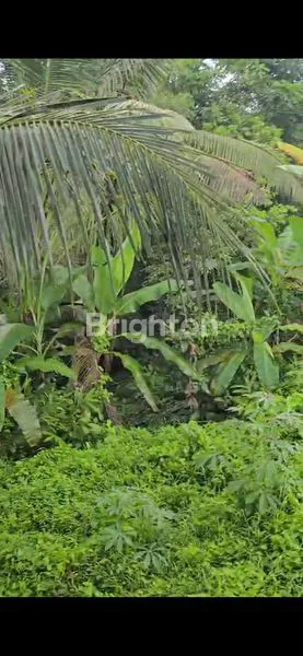 image LAND FOR LEASE AT MARGA (5)