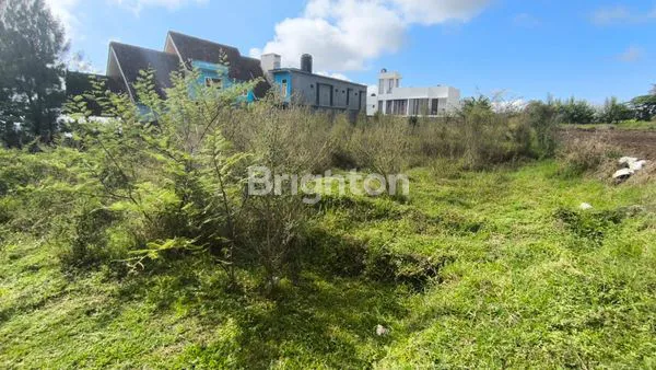 image TANAH STRATEGIS PINGGIR JALAN UTAMA ORO-ORO OMBO COCOK UNTUK KOMERSIAL DAN INVESTASI WISATA (4)