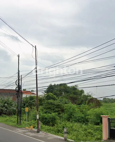image TANAH PREMIUM 2.9 HA NOL JALAN RAYA CERME - SHM SIAP BANGUN (1)