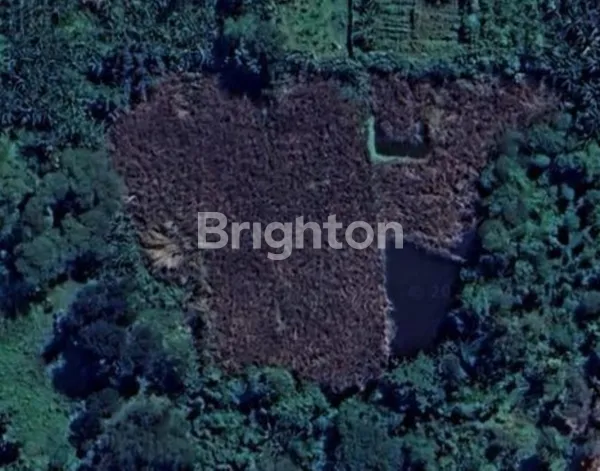 TANAH KAVLING SIAP PAKAI, TERMURAH & JARANG ADA DI RAYA MAYJEN SUNGKONO, SURABAYA BARAT