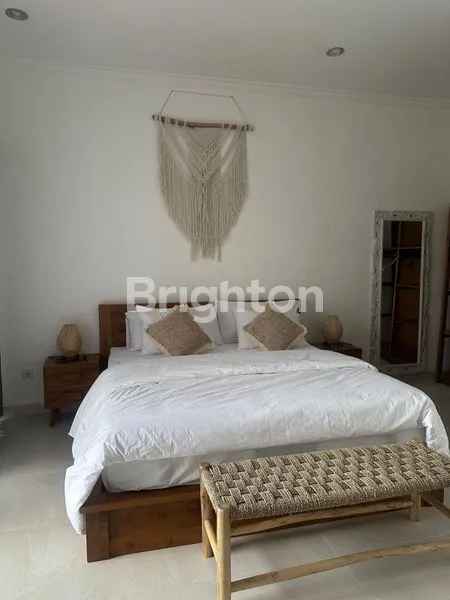 image VILLA CANTIK FULL OF CHARM - DISEWAKAN  DI CANGGU (4)