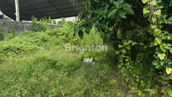 image TANAH 24 ARE PINGGIR JALAN, PEMOGAN . (6)