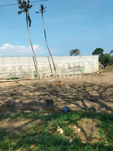 image DI JUAL TANAH PERING GIANYAR (3)