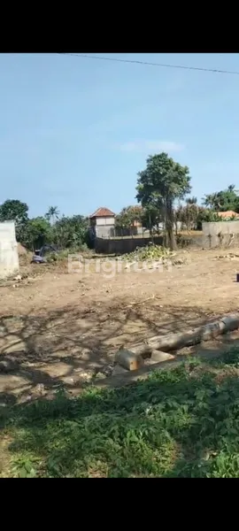 image DI JUAL TANAH PERING GIANYAR (5)