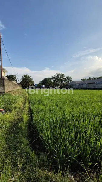 image TANAH KOSONG SUDAH DITIMBUN DITENGAH SAWAH DAERAH PADANG BULAN (2)