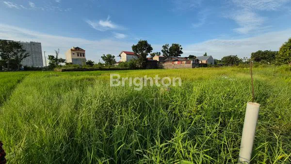 image TANAH KOSONG SUDAH DITIMBUN DITENGAH SAWAH DAERAH PADANG BULAN (4)