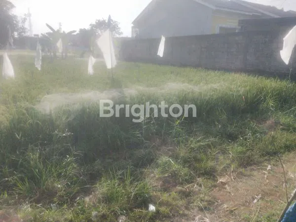 image TANAH KOSONG SUDAH DITIMBUN DITENGAH SAWAH DAERAH PADANG BULAN (6)