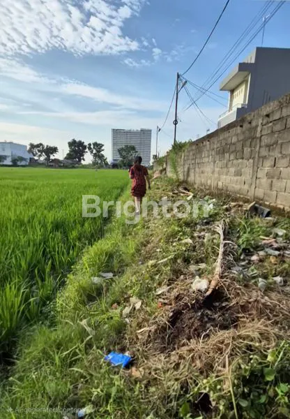 image TANAH KOSONG SUDAH DITIMBUN DITENGAH SAWAH DAERAH PADANG BULAN (7)