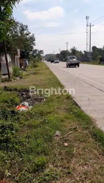 image TANAH STRATEGIS DI JALAN RAYA SEMARANG GROBOGAN  (3)