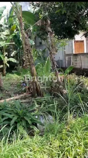 image TANAH STRATEGIS DI JALAN RAYA SEMARANG GROBOGAN  (4)