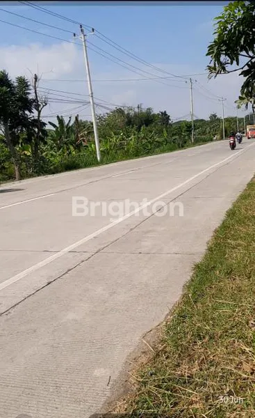 image TANAH STRATEGIS DI JALAN RAYA SEMARANG GROBOGAN  (8)