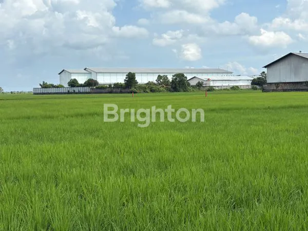 image TANAH STRATEGIS NOL JALAN RAYA DI KALIMANTAN SELATAN (2)