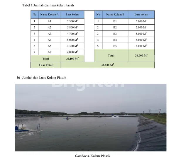 image TANAH 30 HEKTAR  TAMBAK UDANG PANTAI CERMIN SUMATERA UTARA (6)