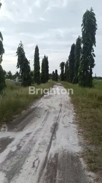 image TANAH 30 HEKTAR  TAMBAK UDANG PANTAI CERMIN SUMATERA UTARA (1)