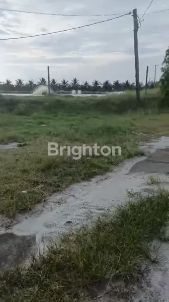 image TANAH 30 HEKTAR  TAMBAK UDANG PANTAI CERMIN SUMATERA UTARA (3)