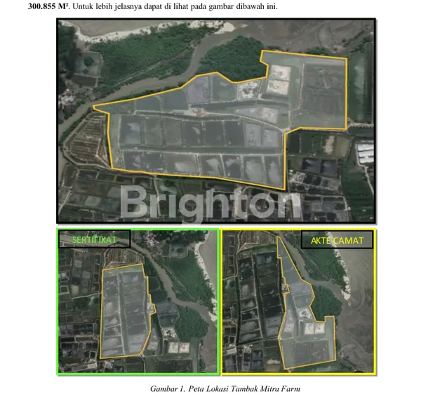 image TANAH 30 HEKTAR  TAMBAK UDANG PANTAI CERMIN SUMATERA UTARA (4)