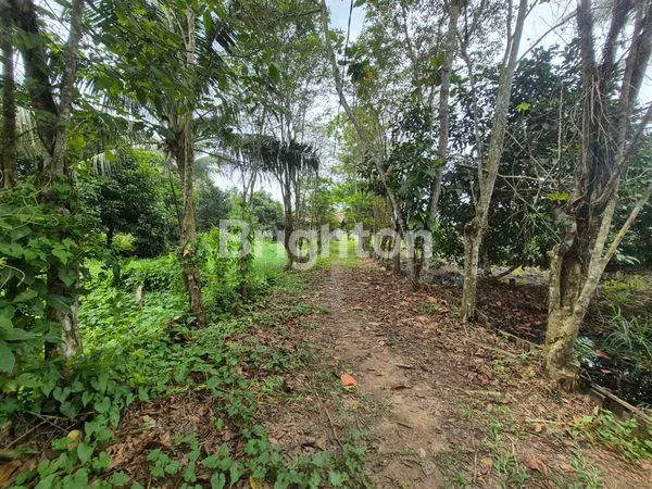 image TANAH 1 HA PREMIUM DI SAMBUTAN - COCOK UNTUK VILLA & WISATA (3)