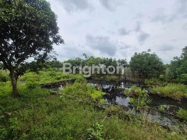 image TANAH 1 HA PREMIUM DI SAMBUTAN - COCOK UNTUK VILLA & WISATA (5)