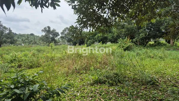 image TANAH 1 HA PREMIUM DI SAMBUTAN - COCOK UNTUK VILLA & WISATA (6)